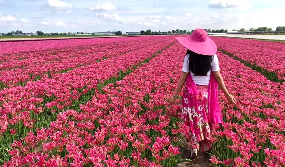 Hội hoa Keukenhof 2020: Đón khách online