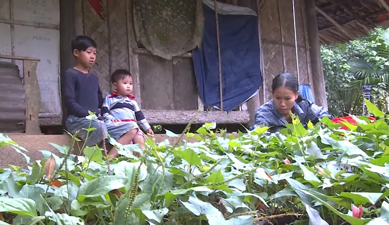 Hai mẹ con nghèo, bệnh nặng