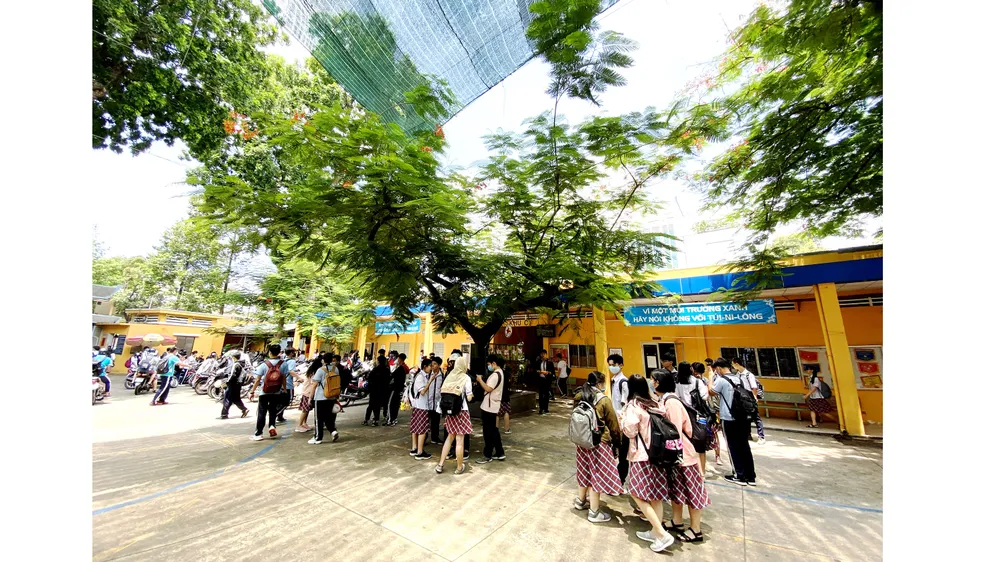 Đừng chặt hạ, mà hãy chăm chút cây xanh an toàn