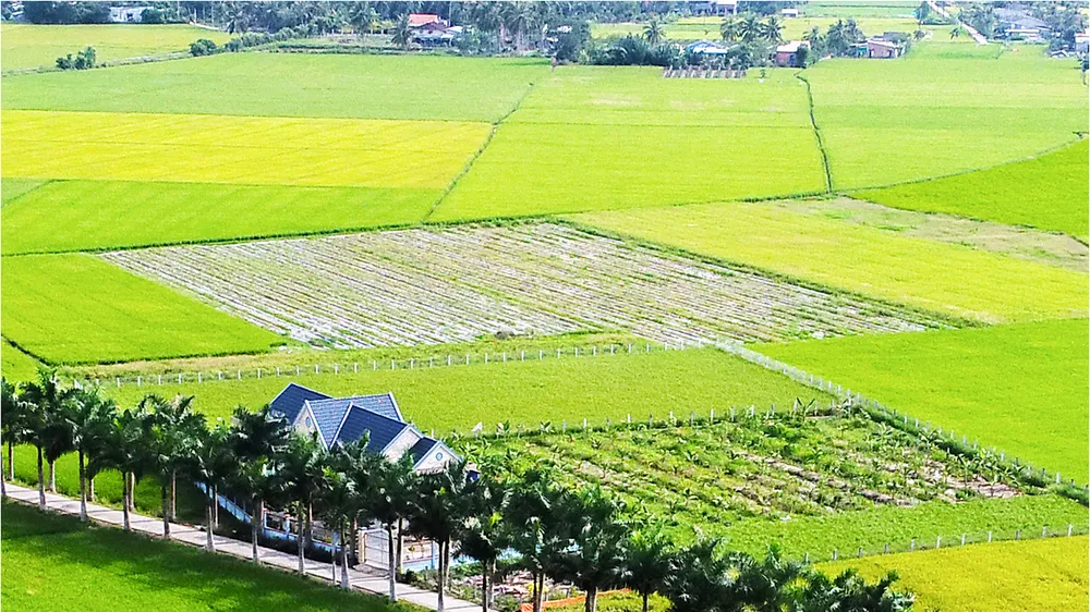 Xây dựng nông thôn mới với khí thế mới