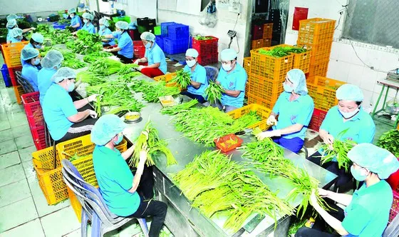  Xuất khẩu nông sản vào Thái Lan tăng