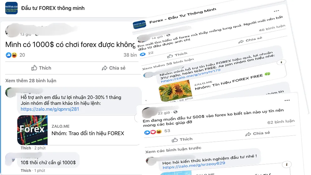 Đầu tư ảo - rủi ro thật