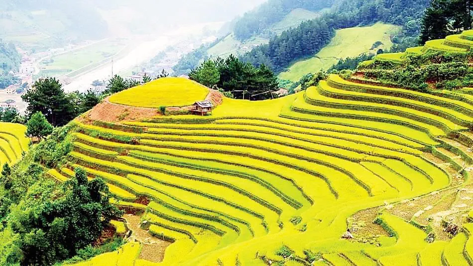 Xây dựng sản phẩm du lịch chuyên biệt 