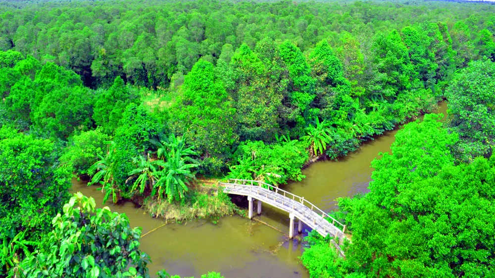 Năng động trên đường phát triển