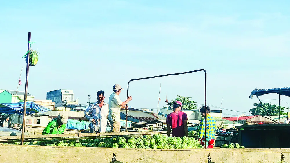 Đời ghe, đời người…