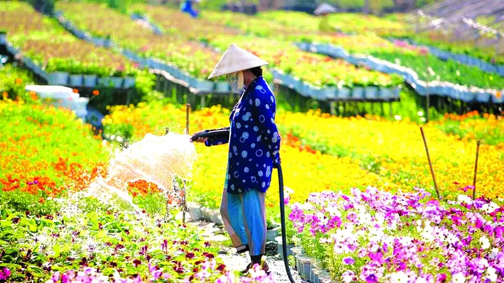 Thời tiết thuận lợi trong dịp Tết Tân Sửu