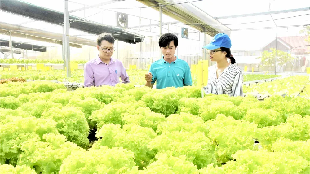 Dấu ấn đào tạo nghề lao động nông thôn