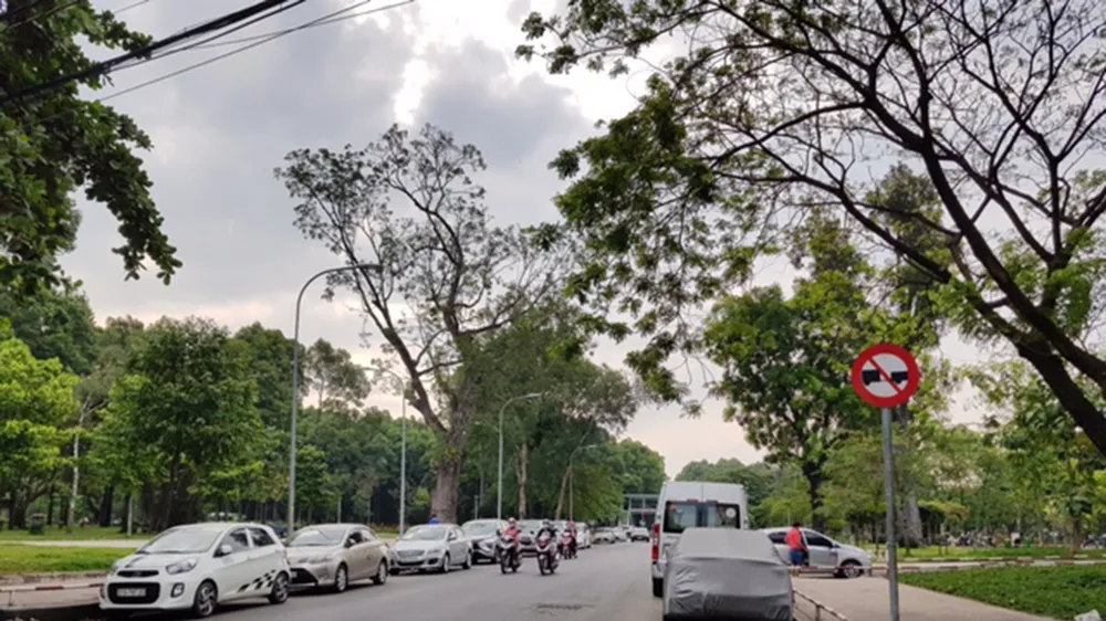 Quyết liệt xử lý tình trạng đậu xe tùy tiện 