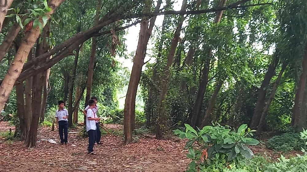 Khổ với công viên bị “treo”