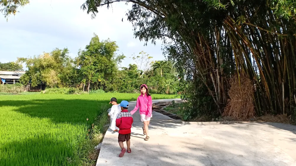  Ngày mùa