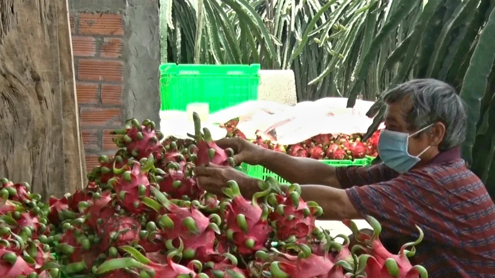 Long An công bố đường dây nóng tiêu thụ nông sản