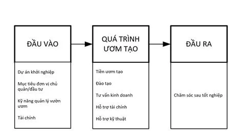Hoàn thiện bộ tiêu chí đánh giá mô hình vườn ươm khởi nghiệp