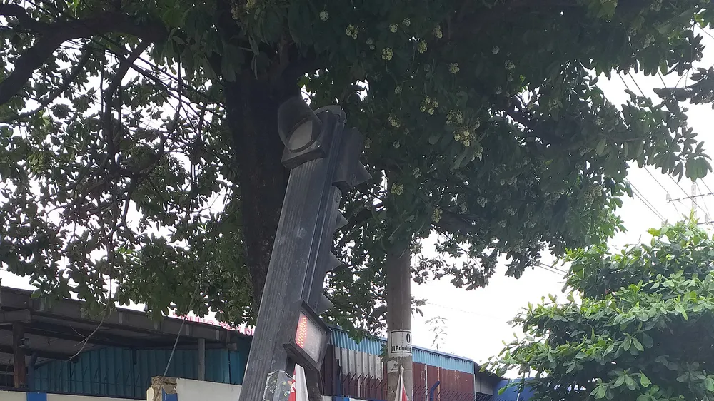 Cột đèn tín hiệu giao thông sắp đổ