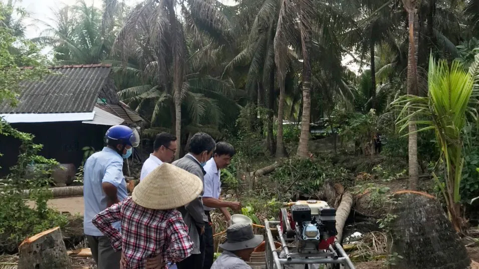 Bến Tre thả ong ký sinh diệt sâu hại dừa