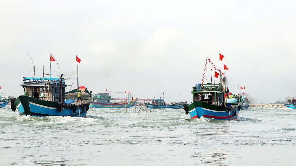 Xuất quân đánh bắt vụ cá Nam