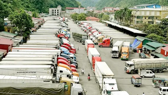 Từ ngày 16-2, Lạng Sơn tạm dừng tiếp nhận xe chở hoa quả xuất khẩu