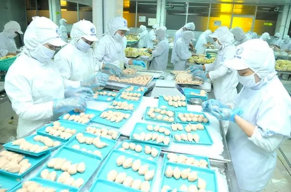 Hành trình vạn dặm bắt đầu từ một chuyến đi