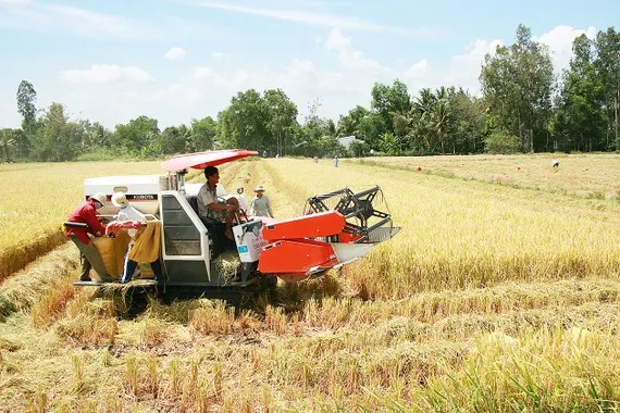 Khắc phục sự chồng chéo trong pháp luật về đất đai