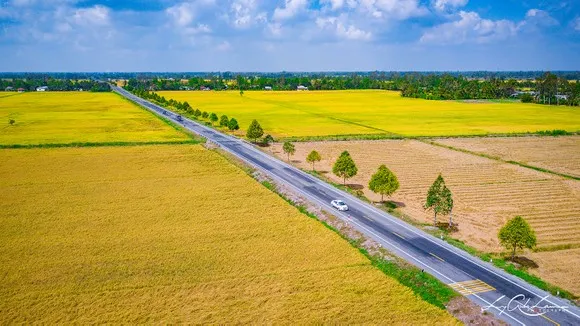 Giữ ổn định 3,5 triệu ha đất trồng lúa