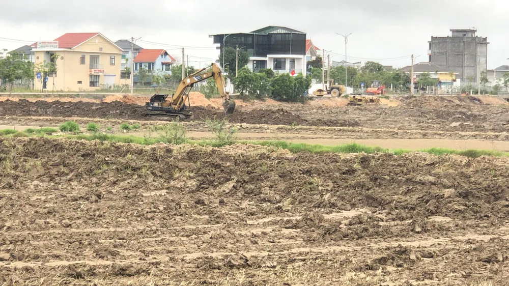 Không được để hoang hóa, lãng phí đất nông nghiệp
