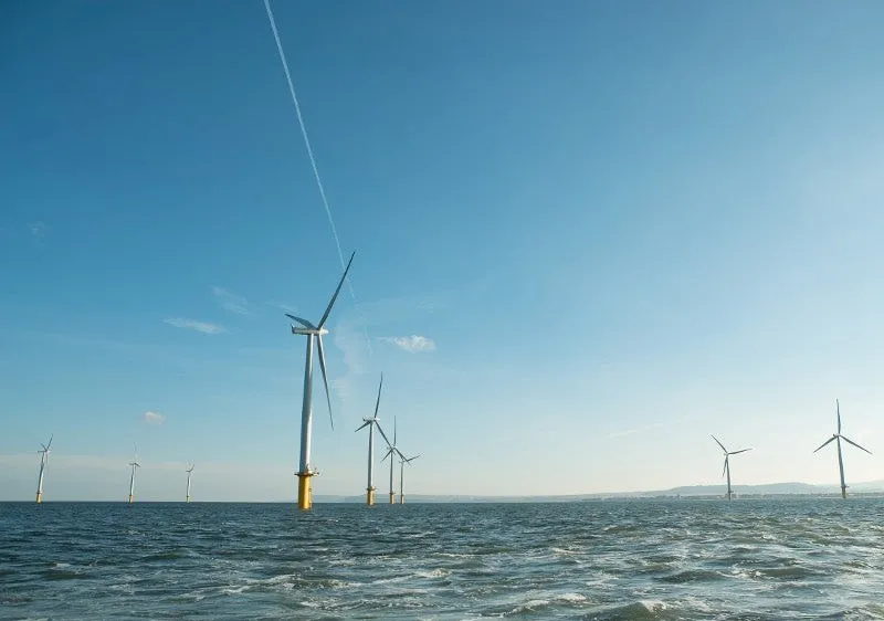 Saint-Nazaire, trang trại điện gió ngoài khơi quy mô thương mại đầu tiên của Pháp. Ảnh: power-technology.com