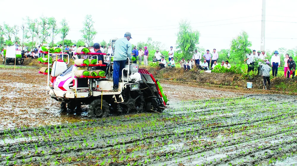 Giúp nông dân thu lợi từ “đơn đặt hàng” của doanh nghiệp xuất khẩu