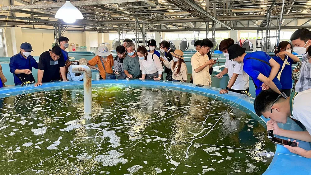 Hàng ngàn sinh viên nguy cơ bị buộc thôi học
