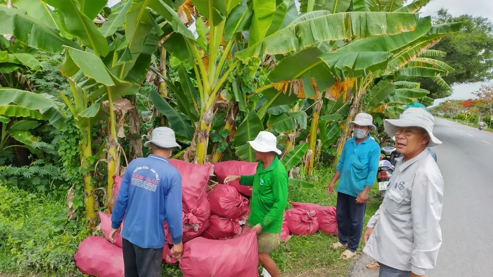 Thu gom 16 tấn bao bì thuốc bảo vệ thực vật trên tuyến kênh, mương nội đồng ở Đồng Tháp