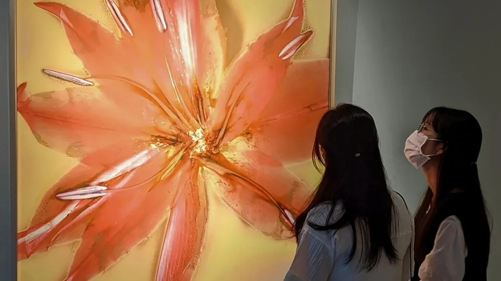 In nắng trên giấy ảnh