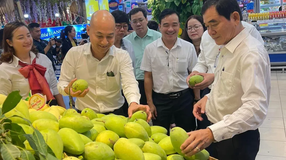 Saigon Co.op hỗ trợ tiêu thụ 100 tấn xoài xuất xứ Đồng Tháp 
