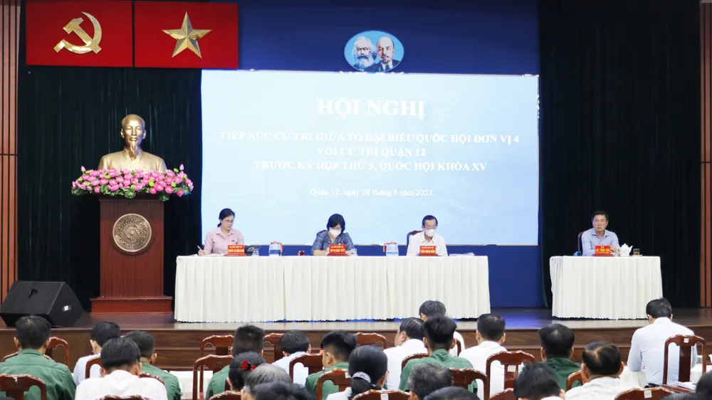 Cử tri mong sớm có cơ chế đặc thù để TPHCM phát triển vượt trội