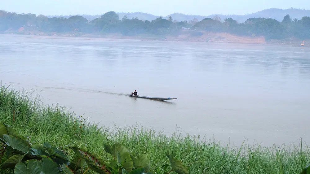 Hoa sóng sông Tiền