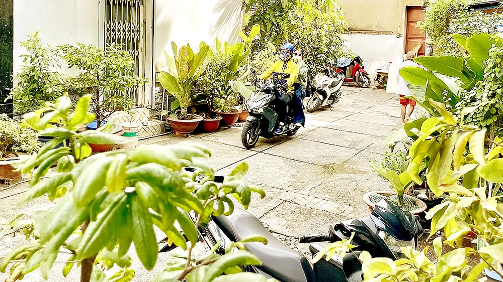 Đốc thúc phát triển mảng xanh đô thị