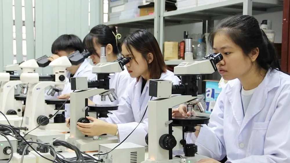 Việt Nam có chất lượng giáo dục tốt