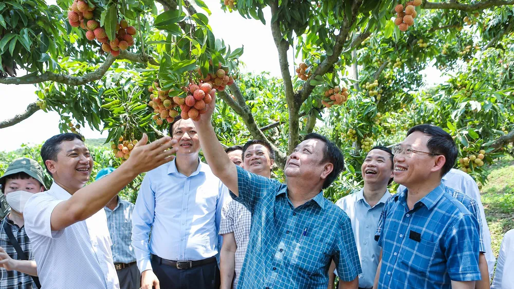 Đổi mới tiếp cận thị trường, tận dụng cơ hội để xuất khẩu nông sản