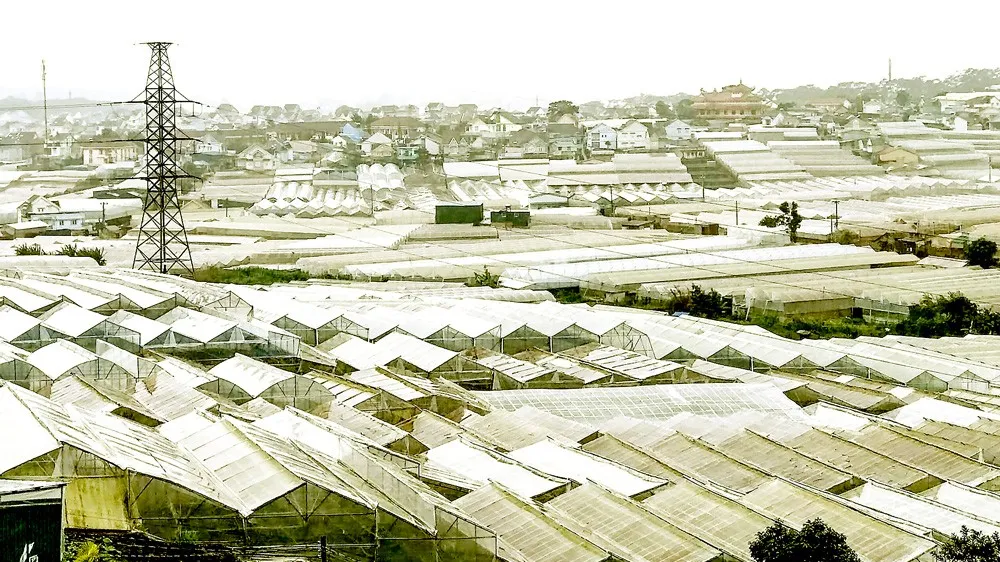 Cơ hội tốt cho Việt Nam