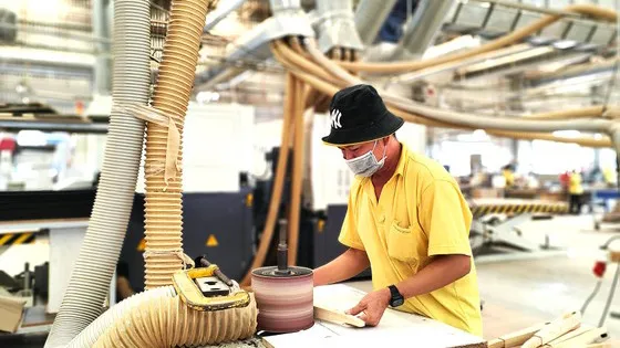 TPHCM chủ động tham gia thị trường tín chỉ carbon