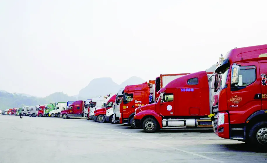 Quan hệ Việt Nam - Trung Quốc duy trì xu thế phát triển - Bài 3: Đẩy mạnh khai thác thị trường Trung Quốc