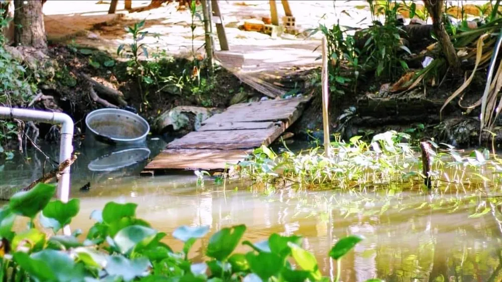 Bến nước, cầu ao