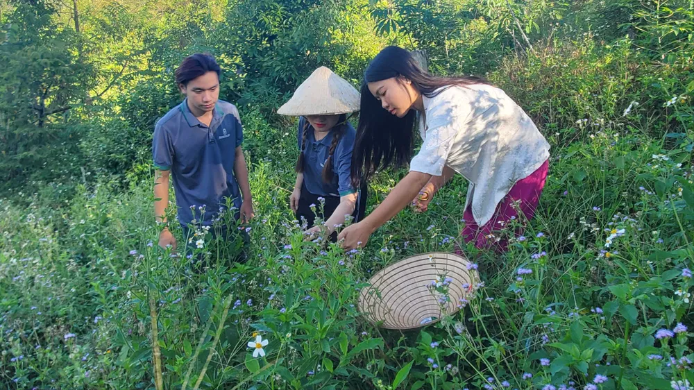 Sức trẻ chinh phục đại ngàn