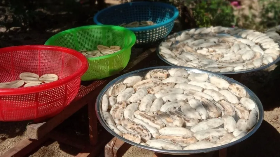 Tết về bên mâm chuối phơi khô