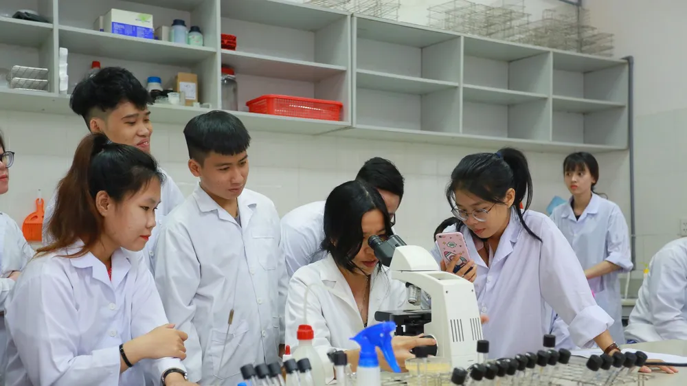 Lạm dụng chương trình chất lượng cao