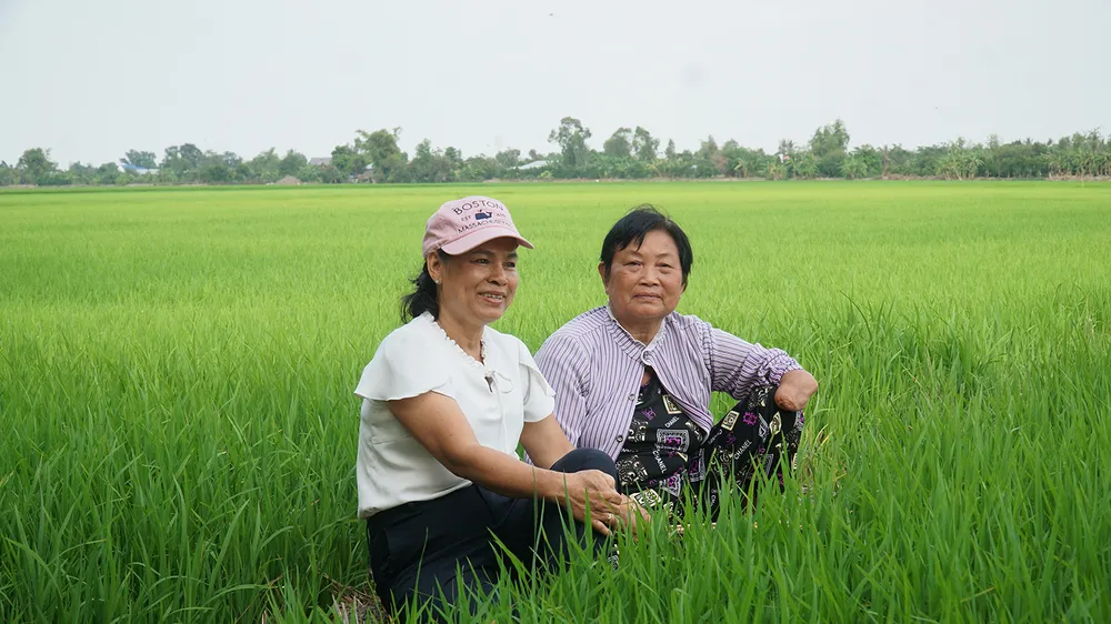 Chị Bảy Đông ở Đồng 41