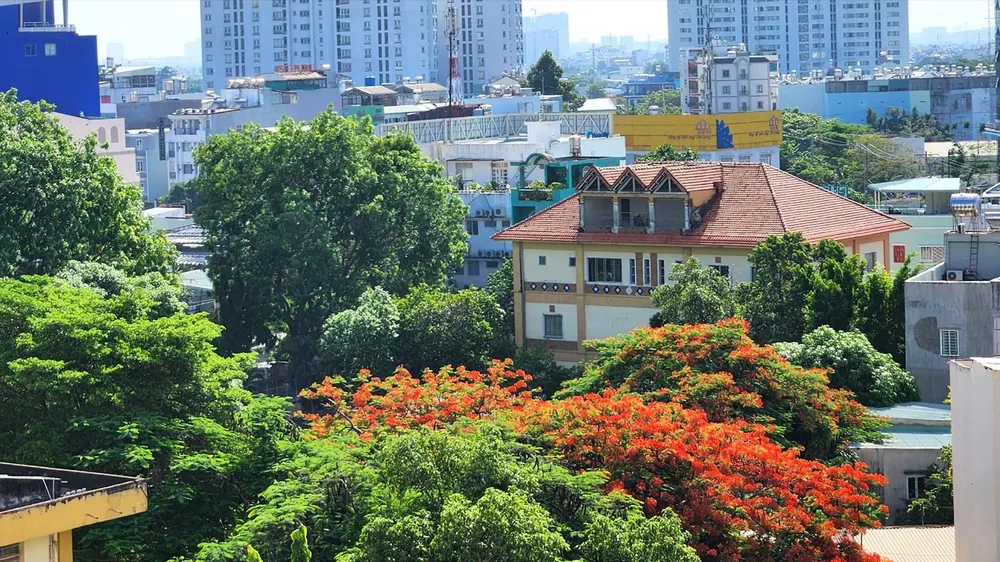 Nhà ngói ở phố