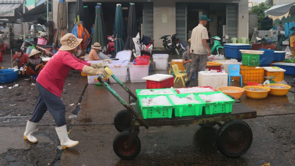 Những “nữ phu cá” trên cảng Phan Thiết