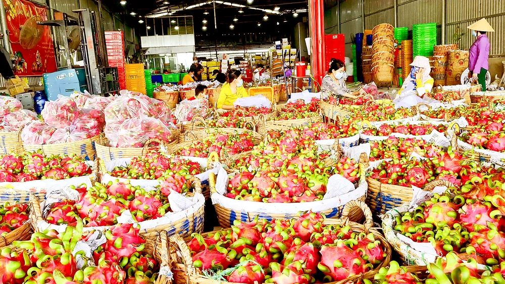 Tăng sức cạnh tranh cho nông sản Việt - Bài 1: Loay hoay câu chuyện thương hiệu nông sản Việt