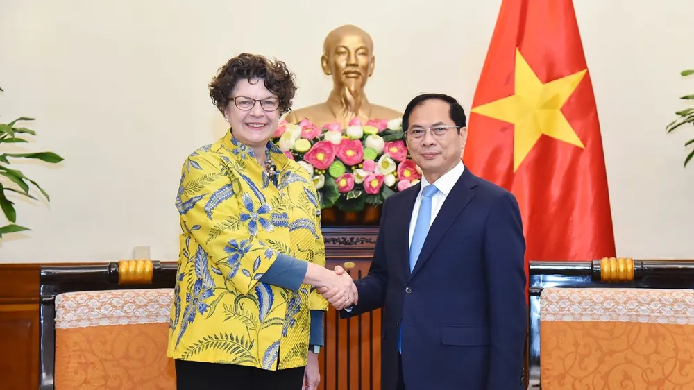 Phó Thủ tướng, Bộ trưởng Ngoại giao Bùi Thanh Sơn tiếp Đại sứ Đức