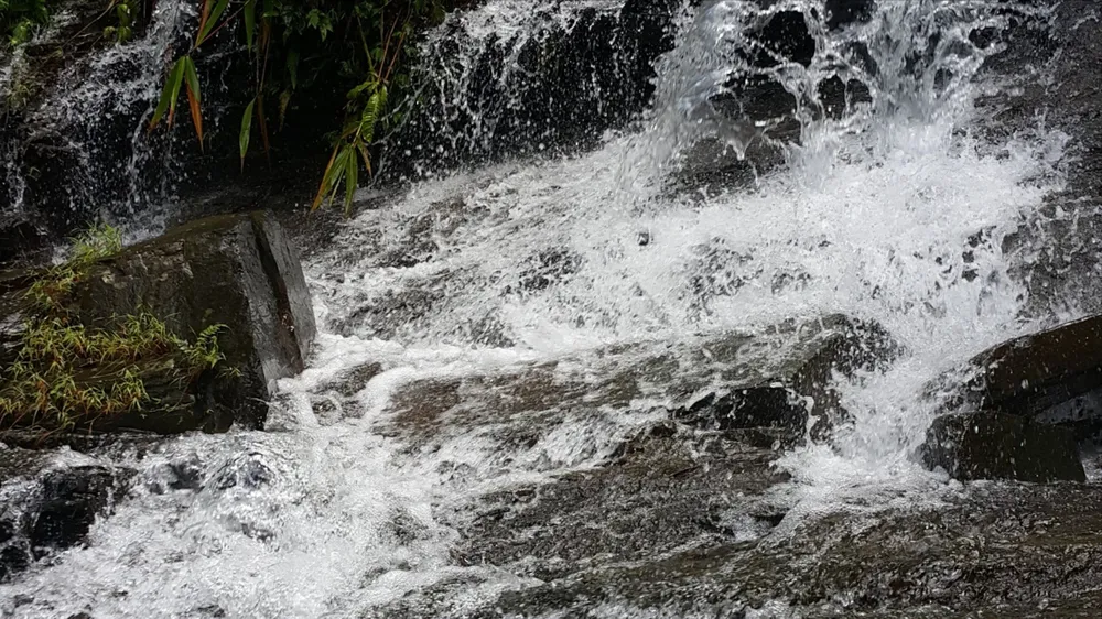 Quảng Bình: Đề xuất 5 vị trí làm trang trại heo, tổng diện tích hơn 210ha khiến dân lo ngại