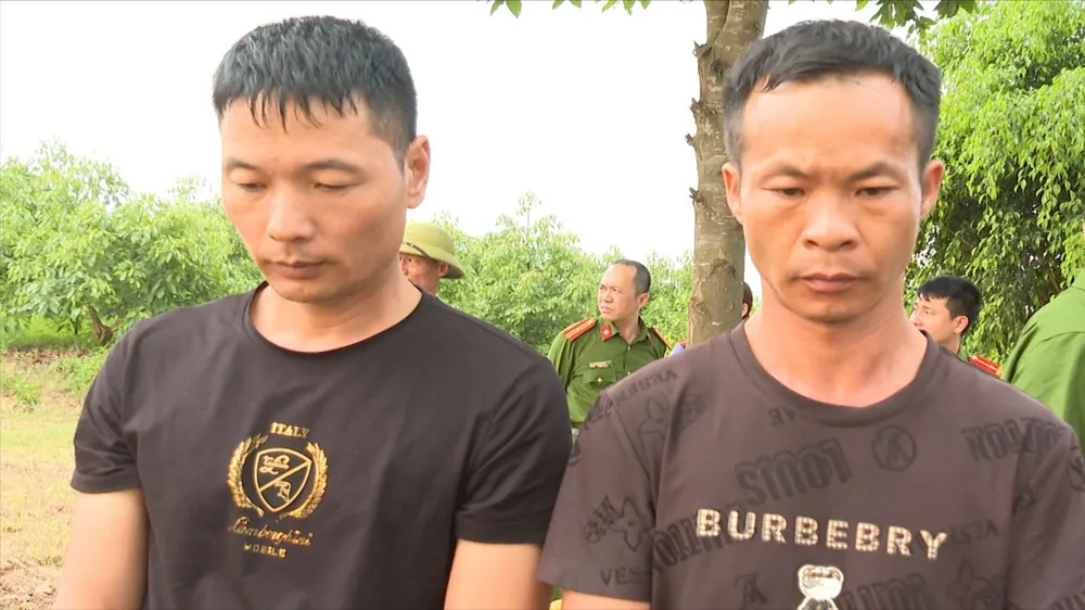 Tạm giữ 2 đối tượng người nước ngoài xâm phạm mộ vua Lê Túc Tông để tìm cổ vật