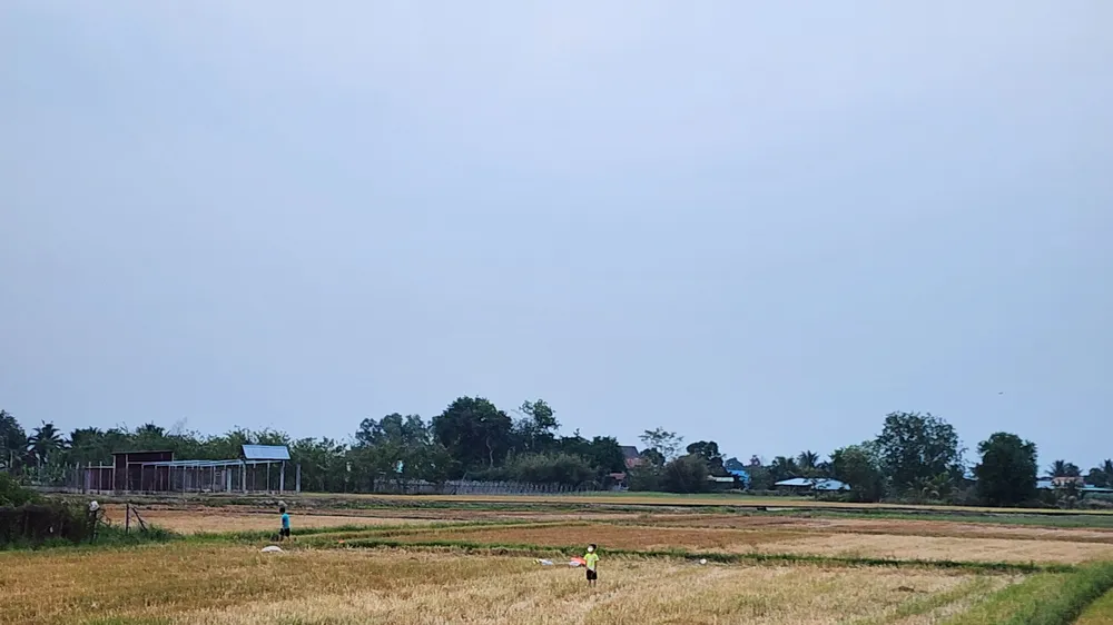 Tiền chuyển mục đích sử dụng đất quá cao, người dân như mua đất lần 2